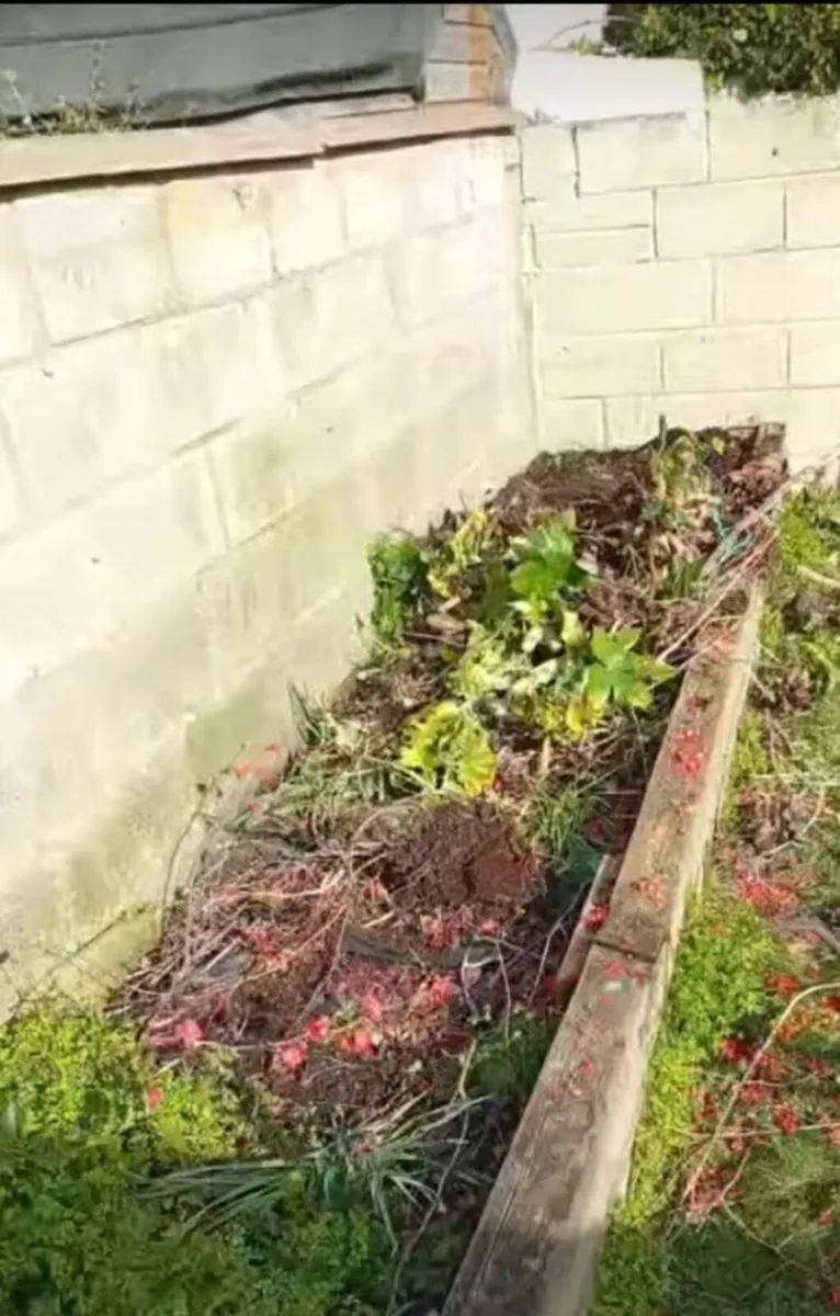 Rubbish removal - Image 2
