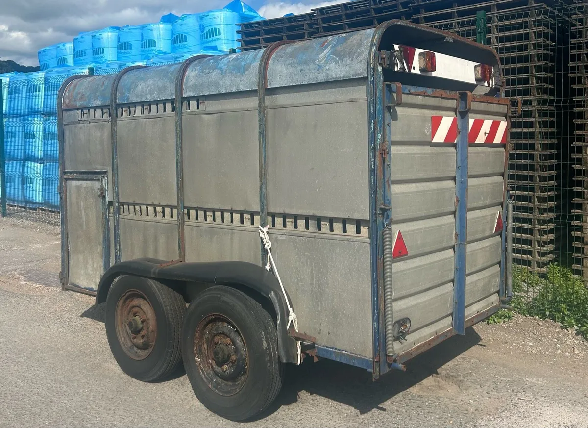 towvan  / cattle trailer - Image 2