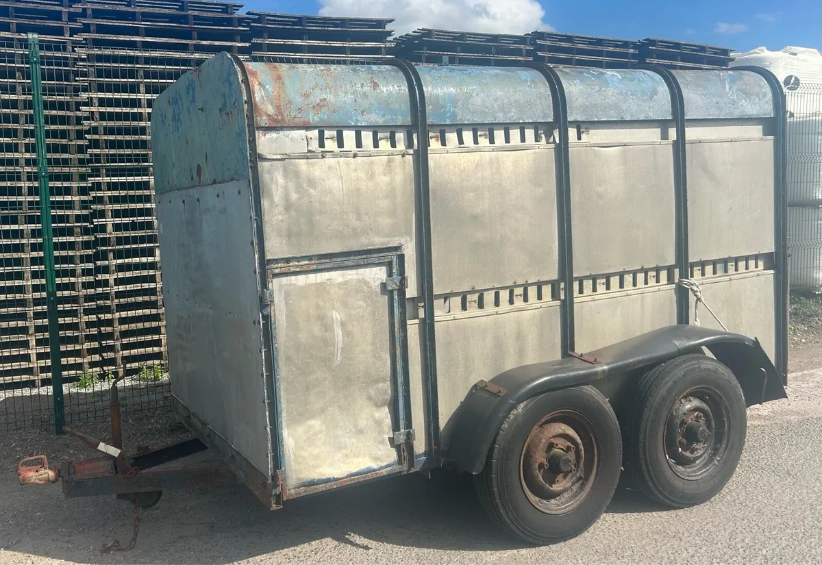 towvan  / cattle trailer - Image 4