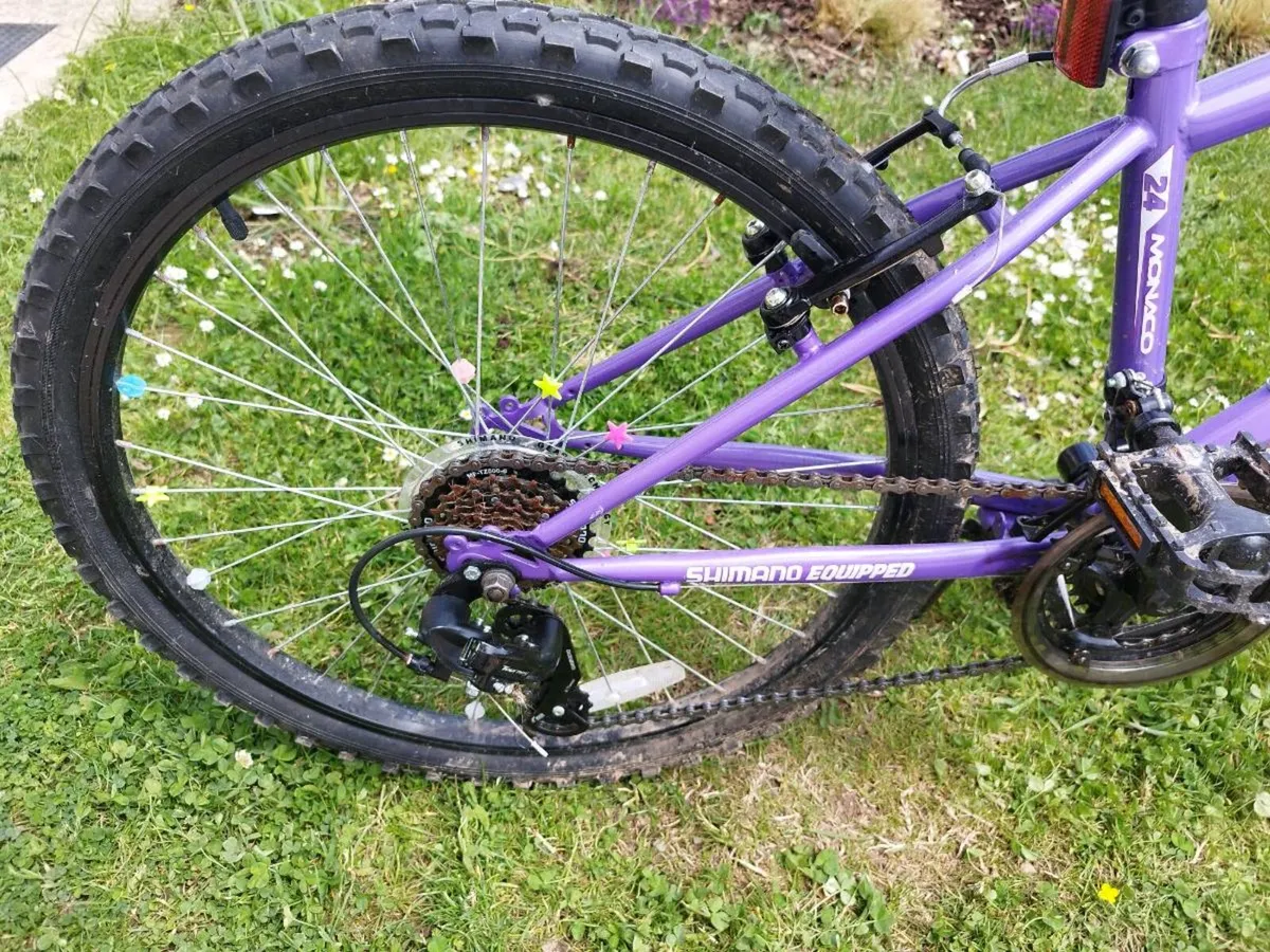 Girls Mountain Bike Verve Monaco 24 inch - Image 2