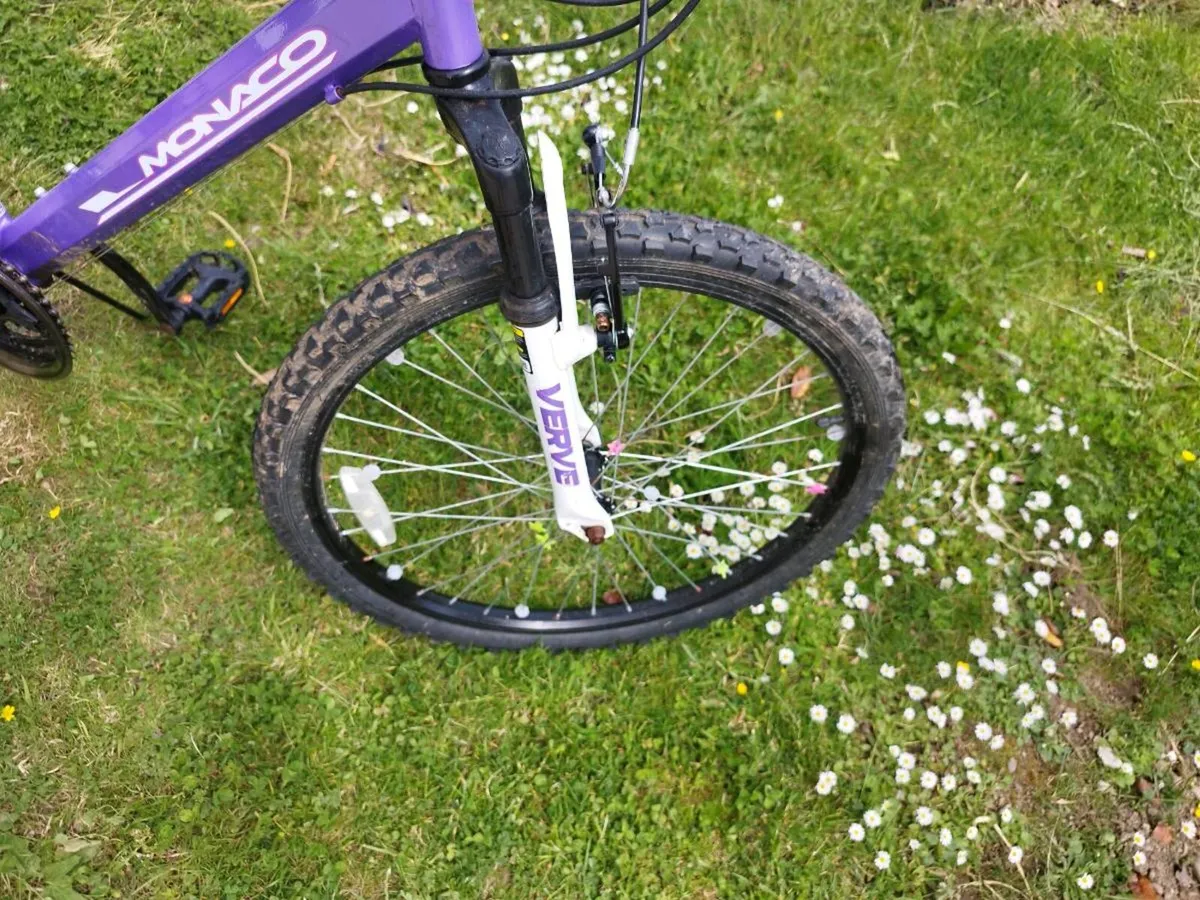 Girls Mountain Bike Verve Monaco 24 inch - Image 4