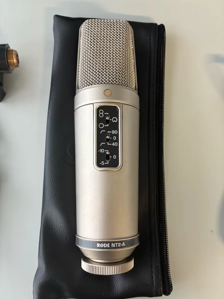 Microphone - Image 2