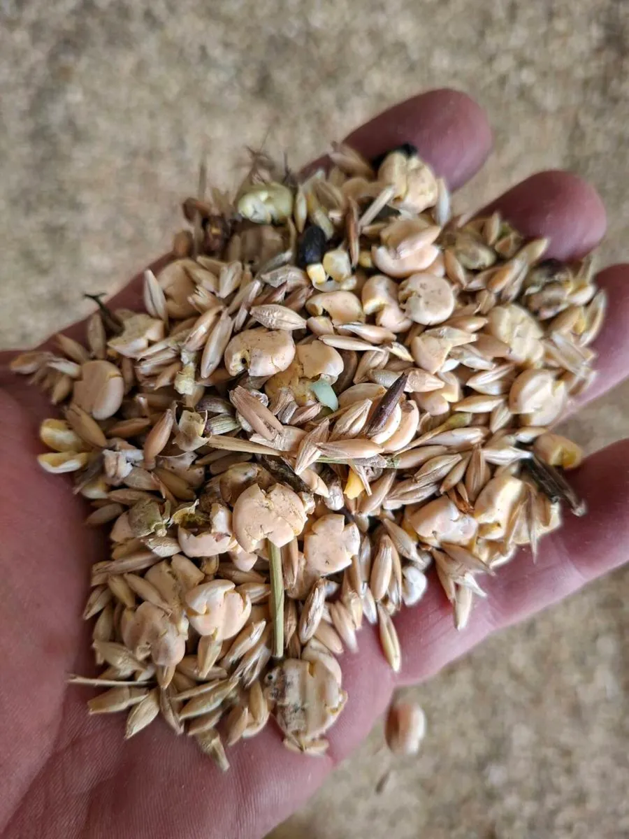 Organic meal  combi crop feed and ration - Image 2