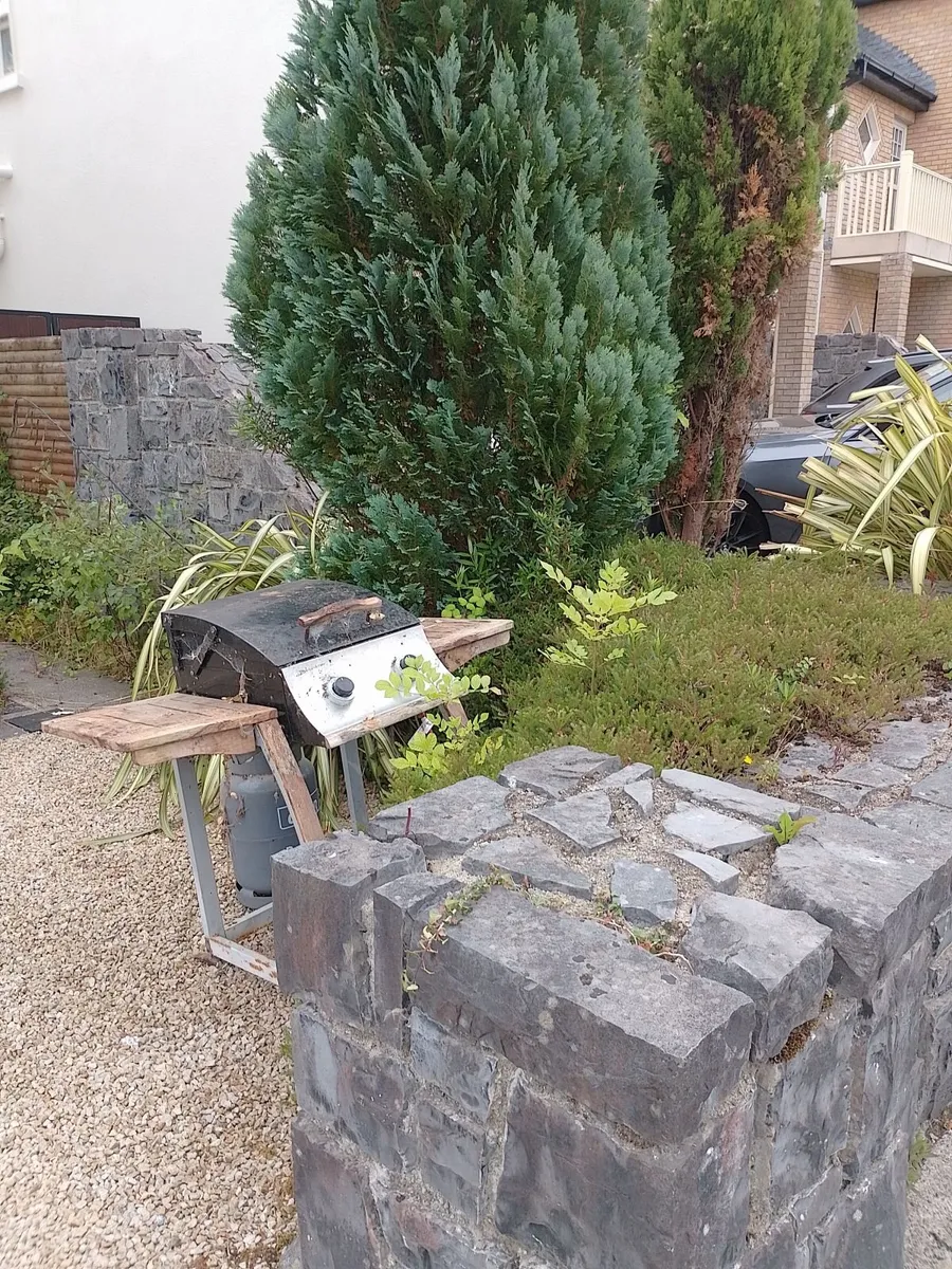 barbeque - Image 1