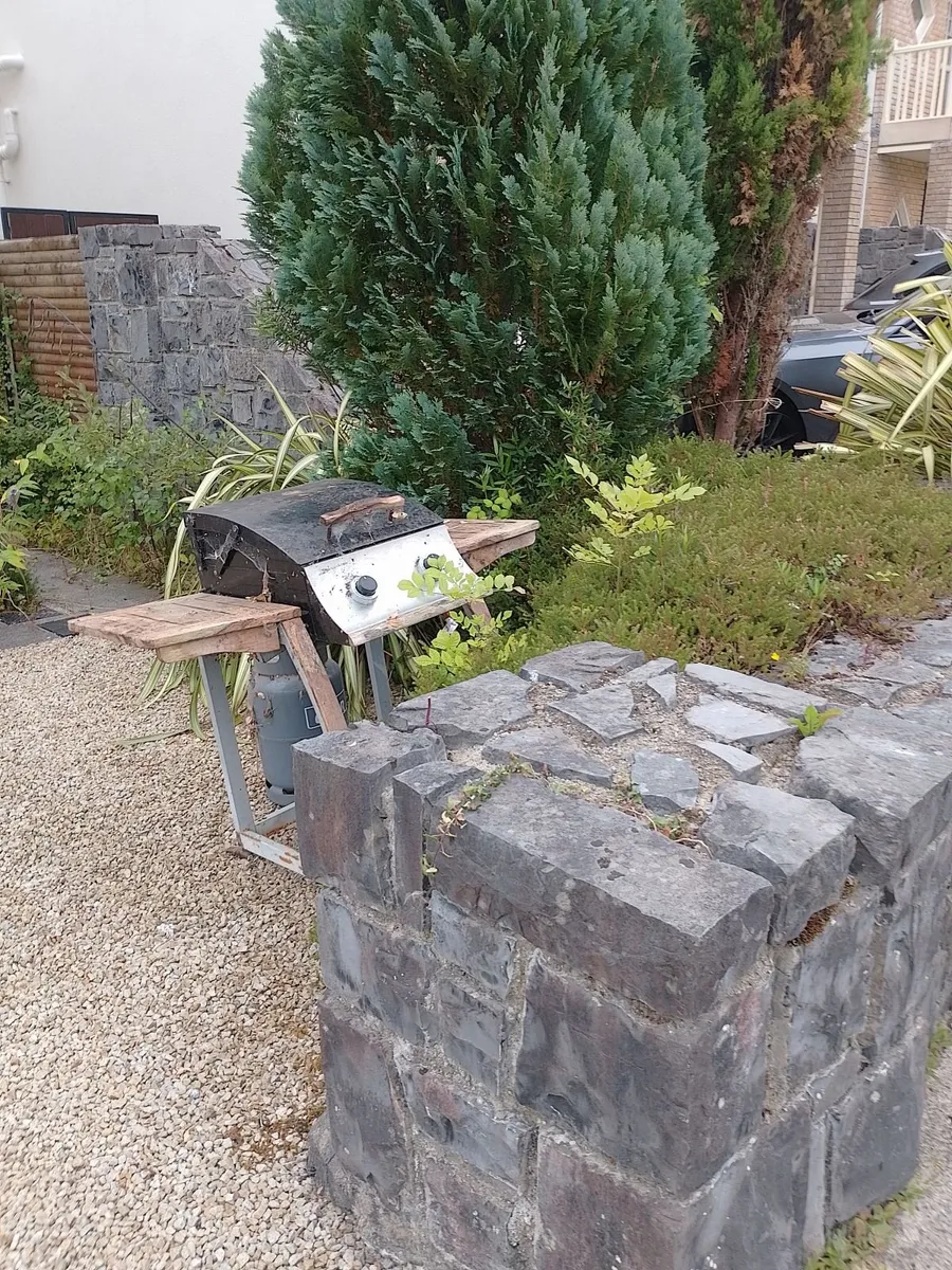barbeque - Image 2
