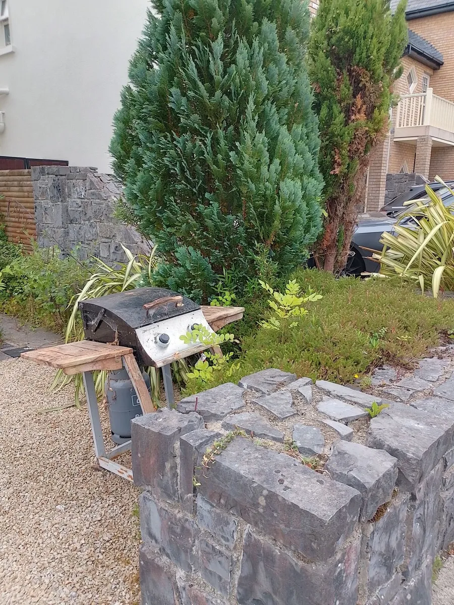 barbeque - Image 3