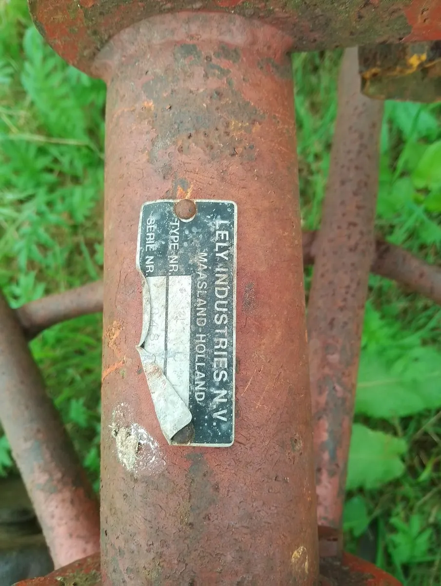 Lely Hay Shaker Tedder Rower - Image 2