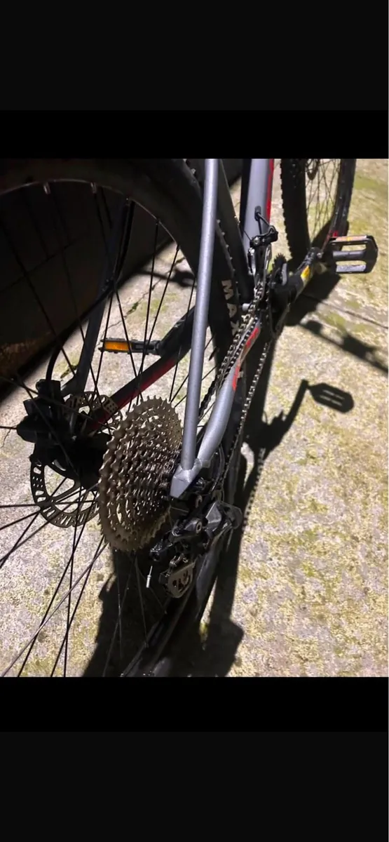 Carrara bike - Image 3
