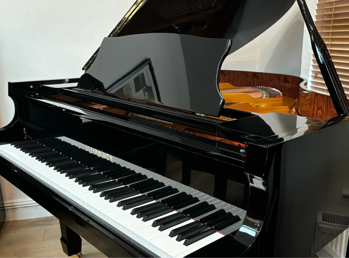 NEW STEINHOVEN BABY GRAND - Image 1