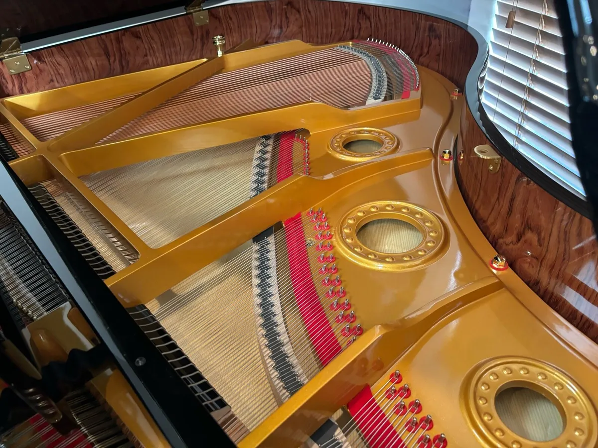 NEW STEINHOVEN BABY GRAND - Image 2