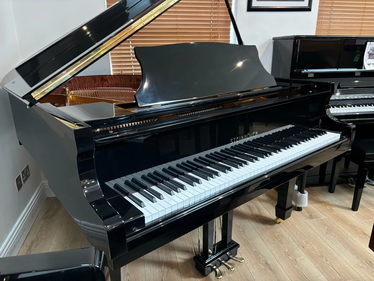 NEW STEINHOVEN BABY GRAND - Image 3