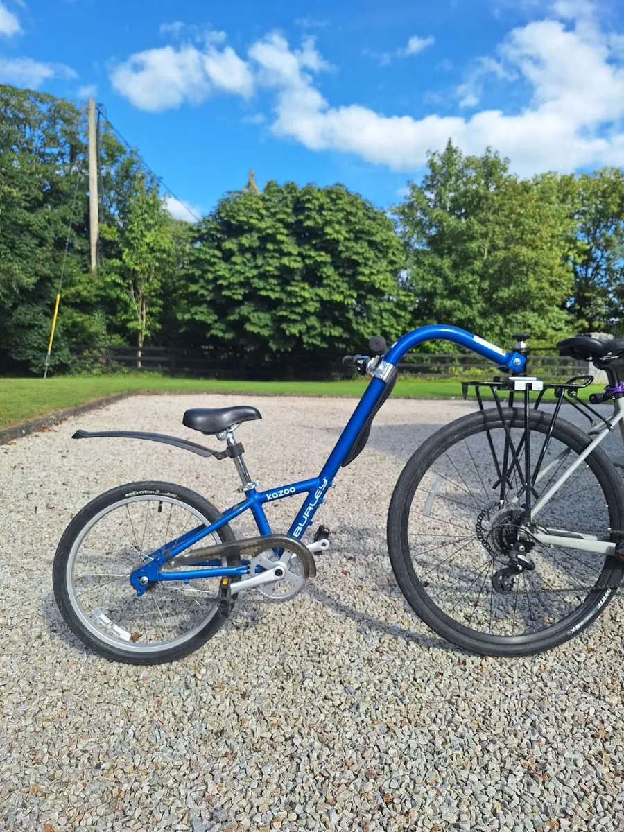 Burnley Kazoo Trailer Cycle - Image 1