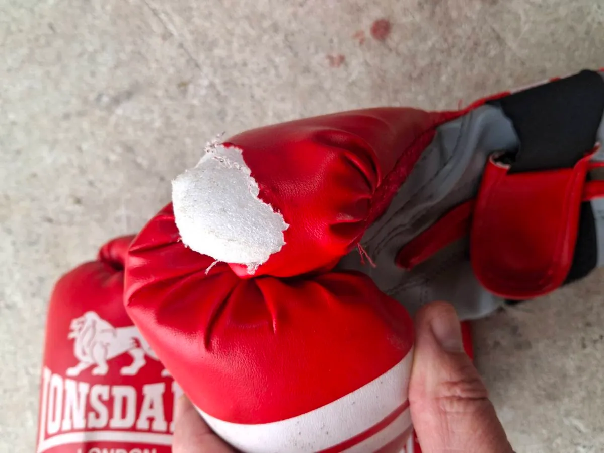 Punch bag, bracket and gloves - Image 3