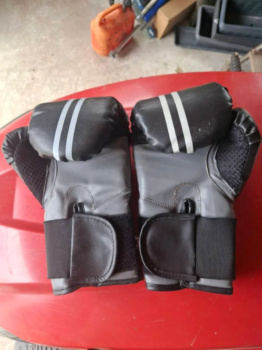 Punch bag, bracket and gloves - Image 4