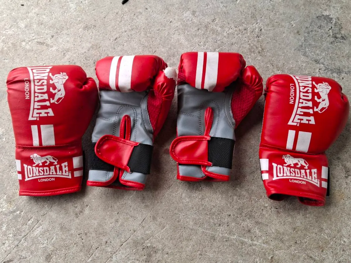 Punch bag, bracket and gloves - Image 2