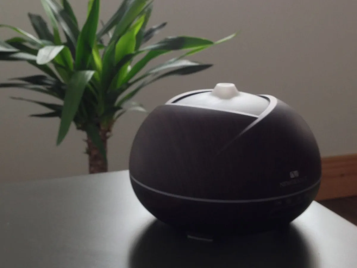 Diffuser with Natural Oils - Image 1