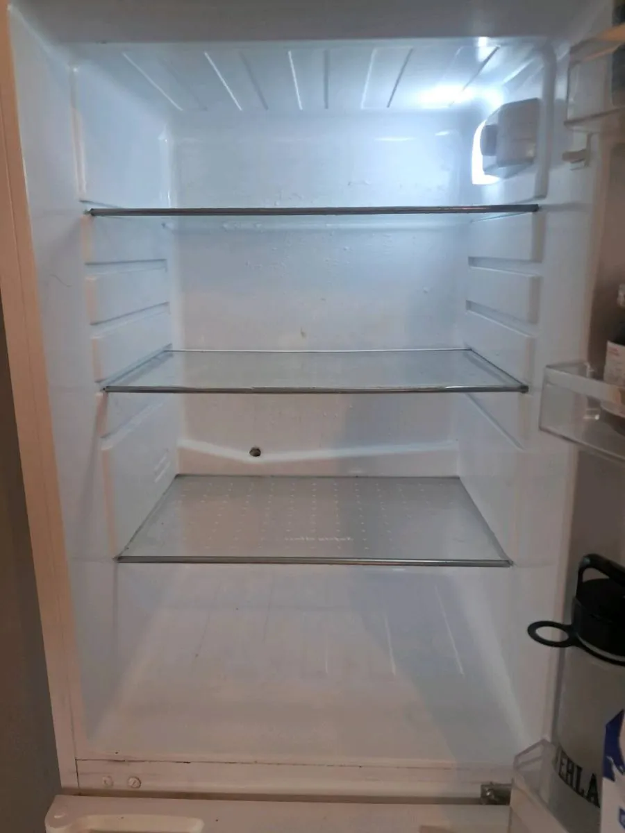 Belling  Fridge Freezer - Image 3