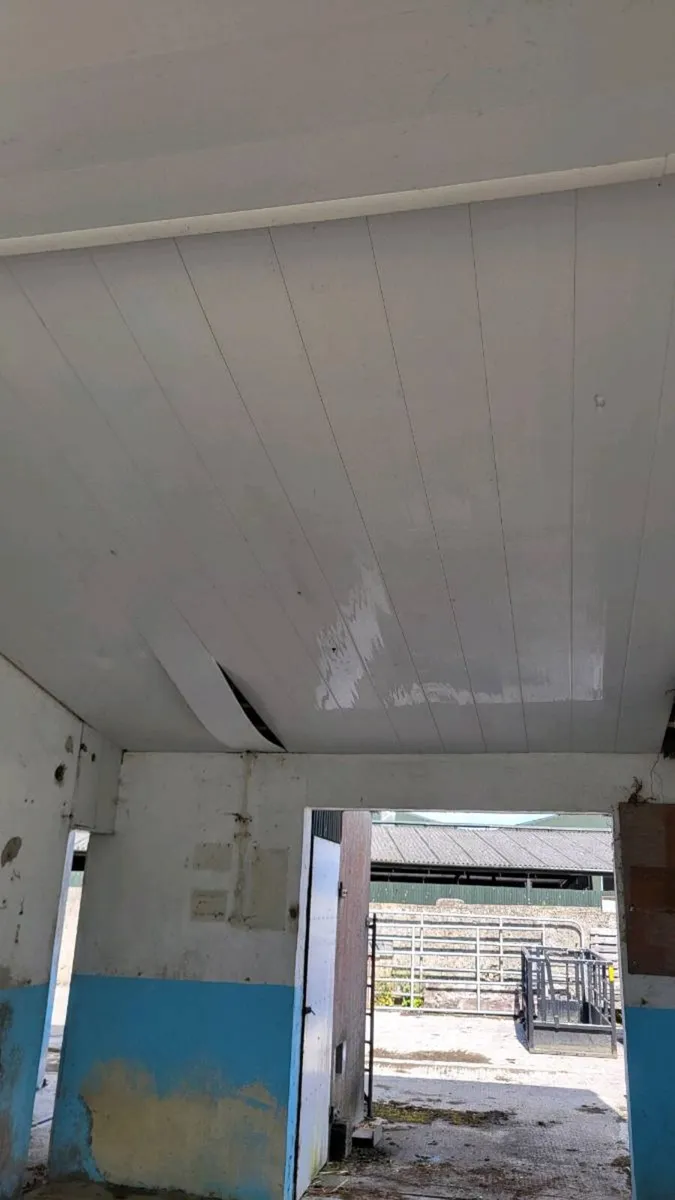Water troughs, dairy doors, PVC ceiling - Image 2