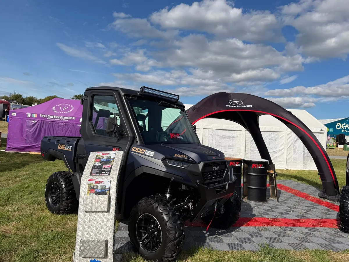 Here at Tullamore show! - Image 3