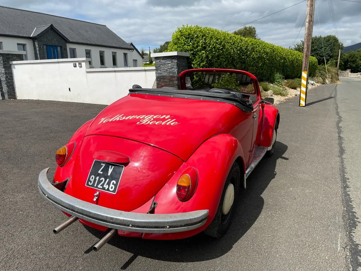 VW Beetle Convertible - Image 4