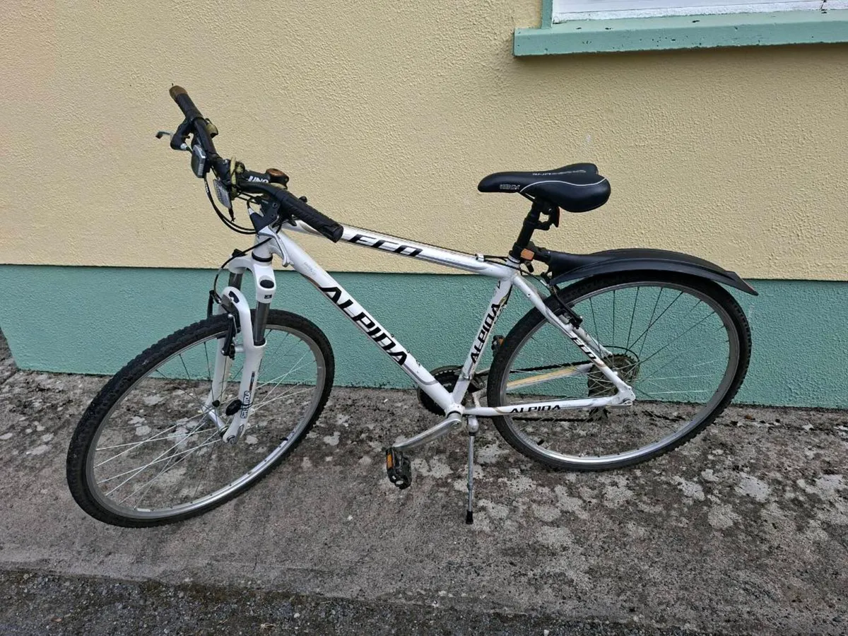 Mountain bike - Image 1