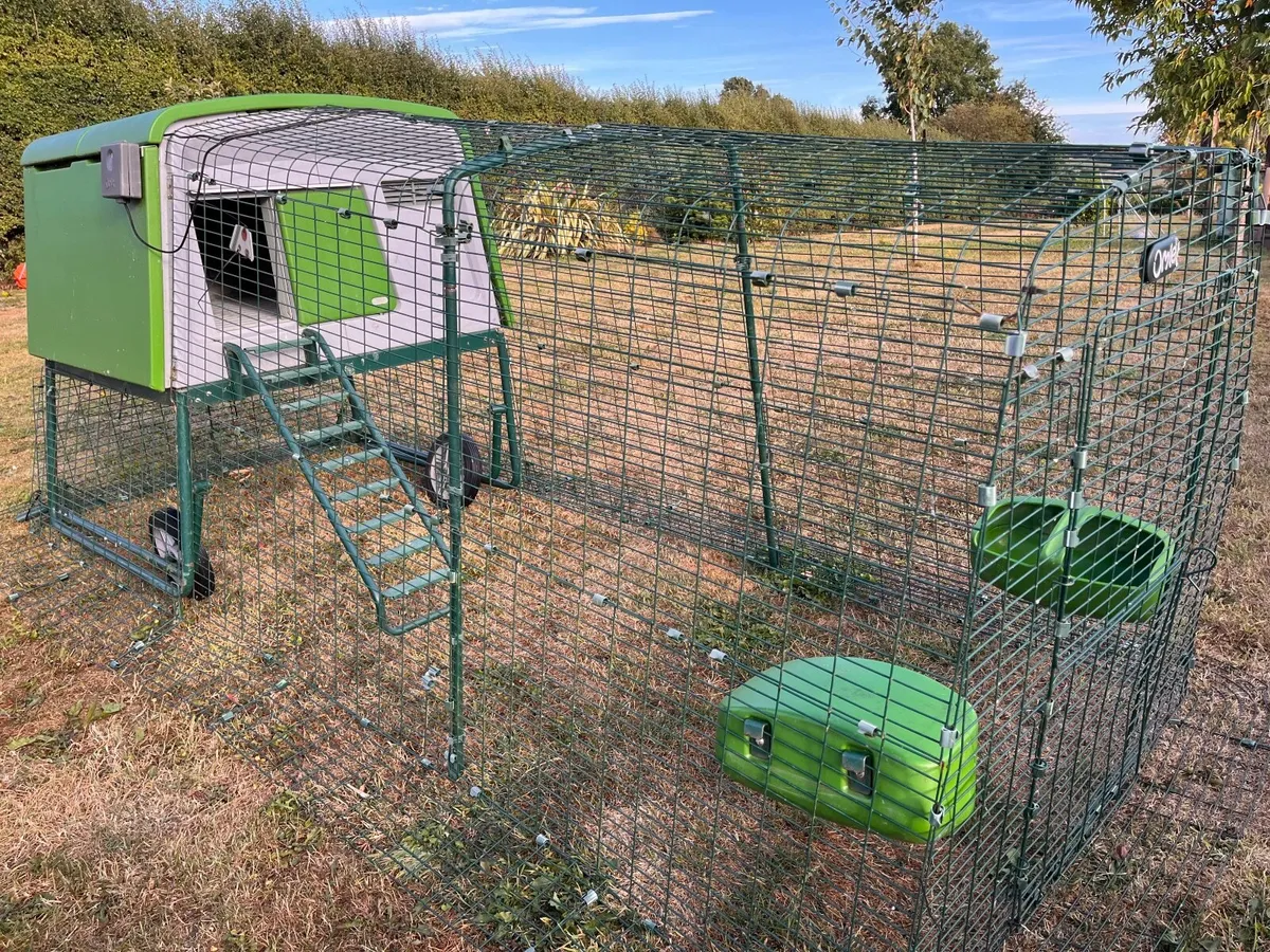 Omlet Eglu Chicken Coop - Image 4