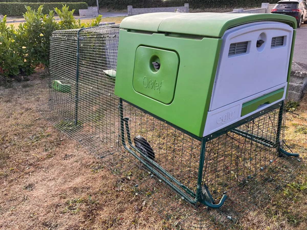 Omlet Eglu Chicken Coop - Image 2