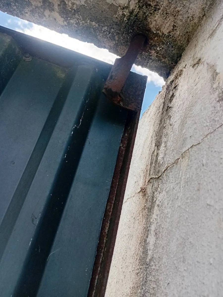 Garage doors - Image 4