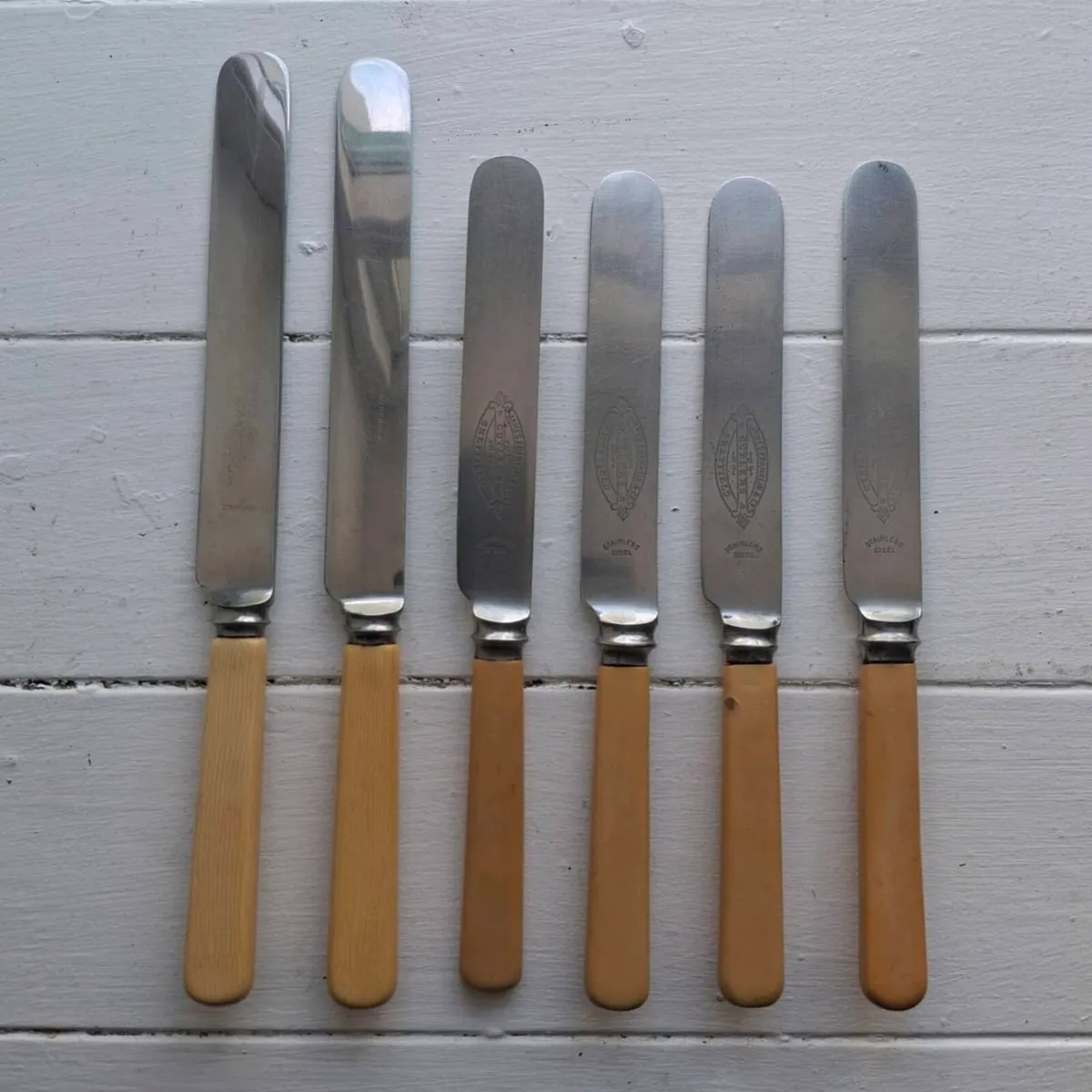 Vintage Faux Bone Handle Butter Knives - Image 1