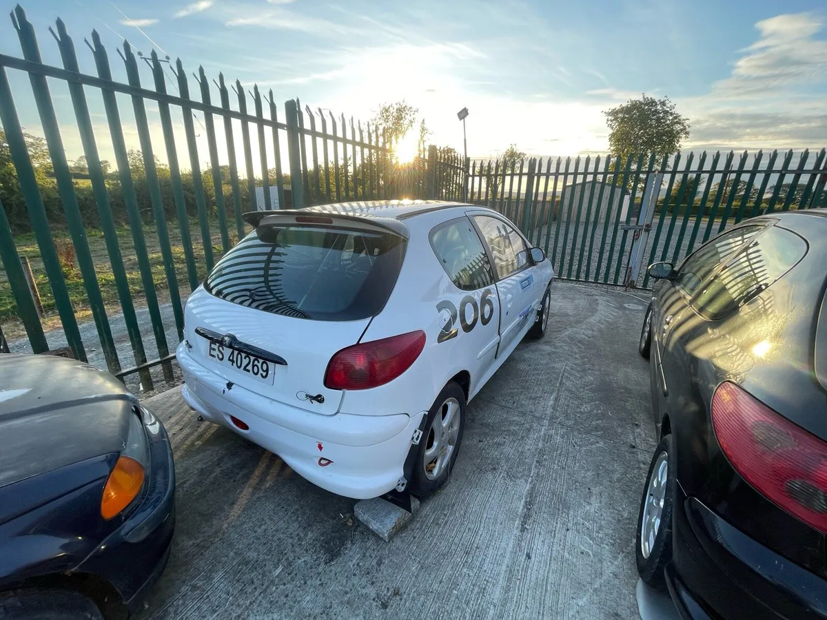 206 rally car shell - Image 3
