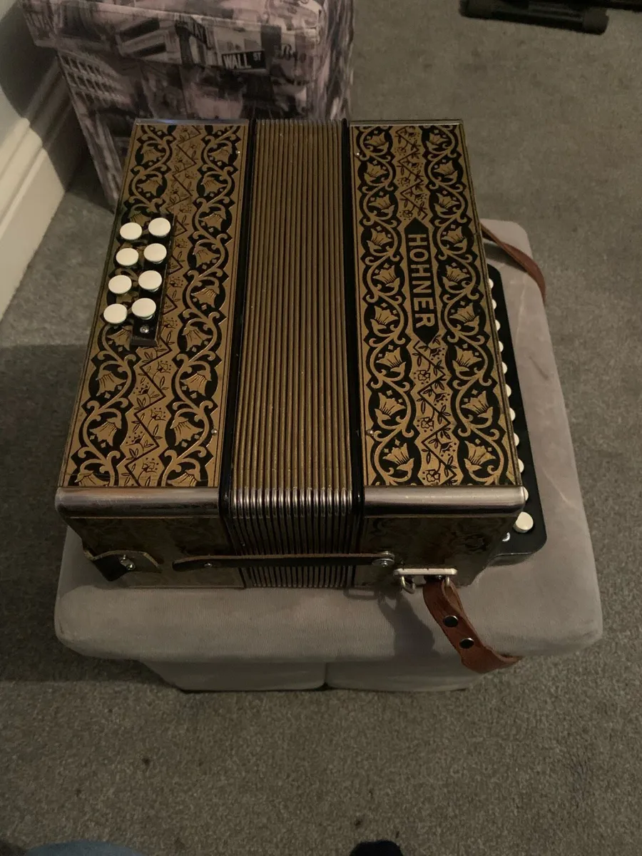 Accordion swap elec guitar - Image 2