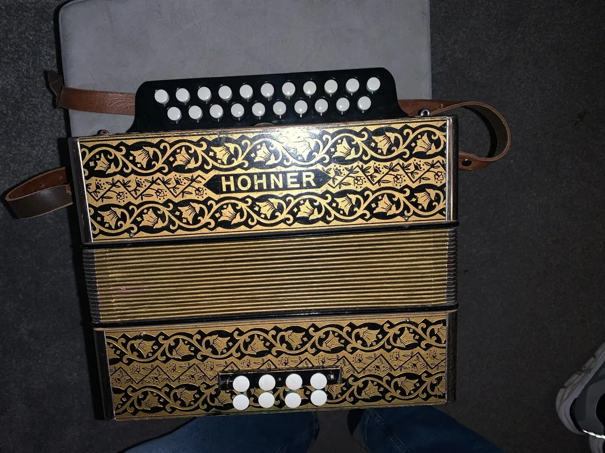 Accordion swap elec guitar - Image 3