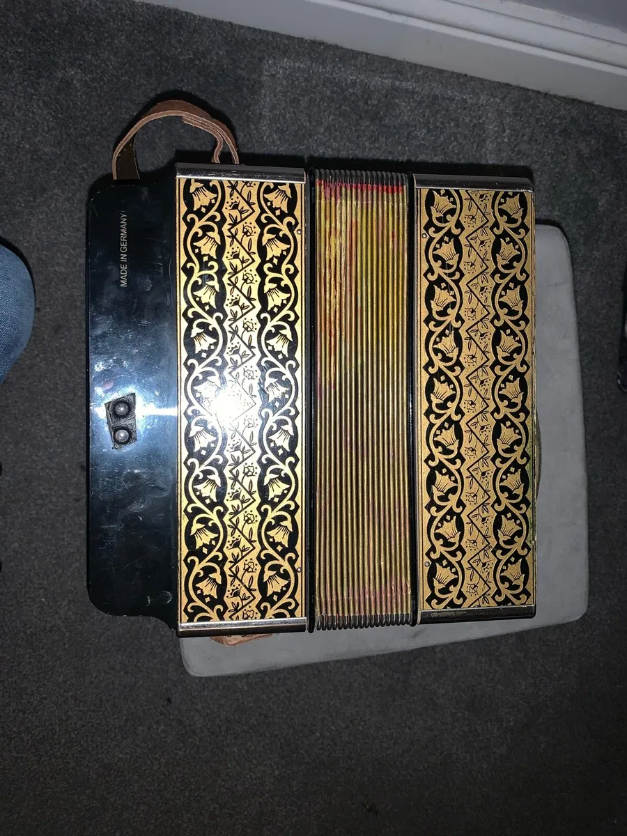 Accordion swap elec guitar - Image 4