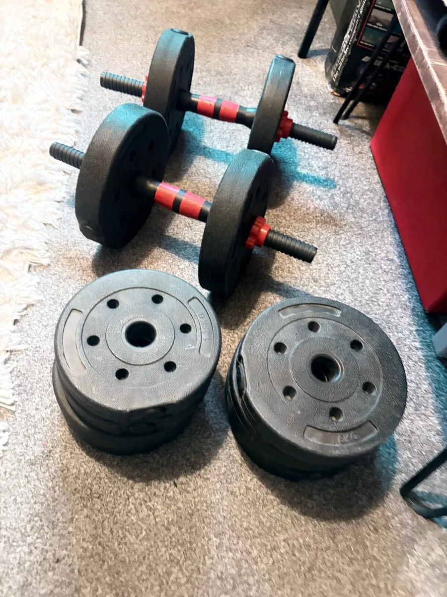 Weights - Image 1