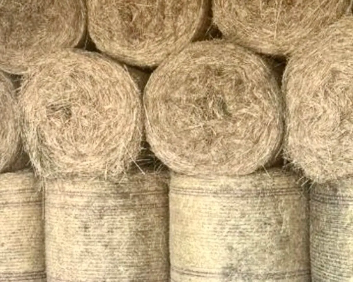 Hay and straw - Image 1