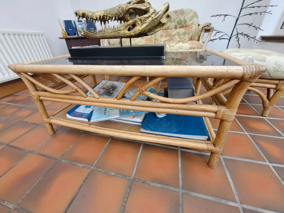Sofas Wicker - Image 2