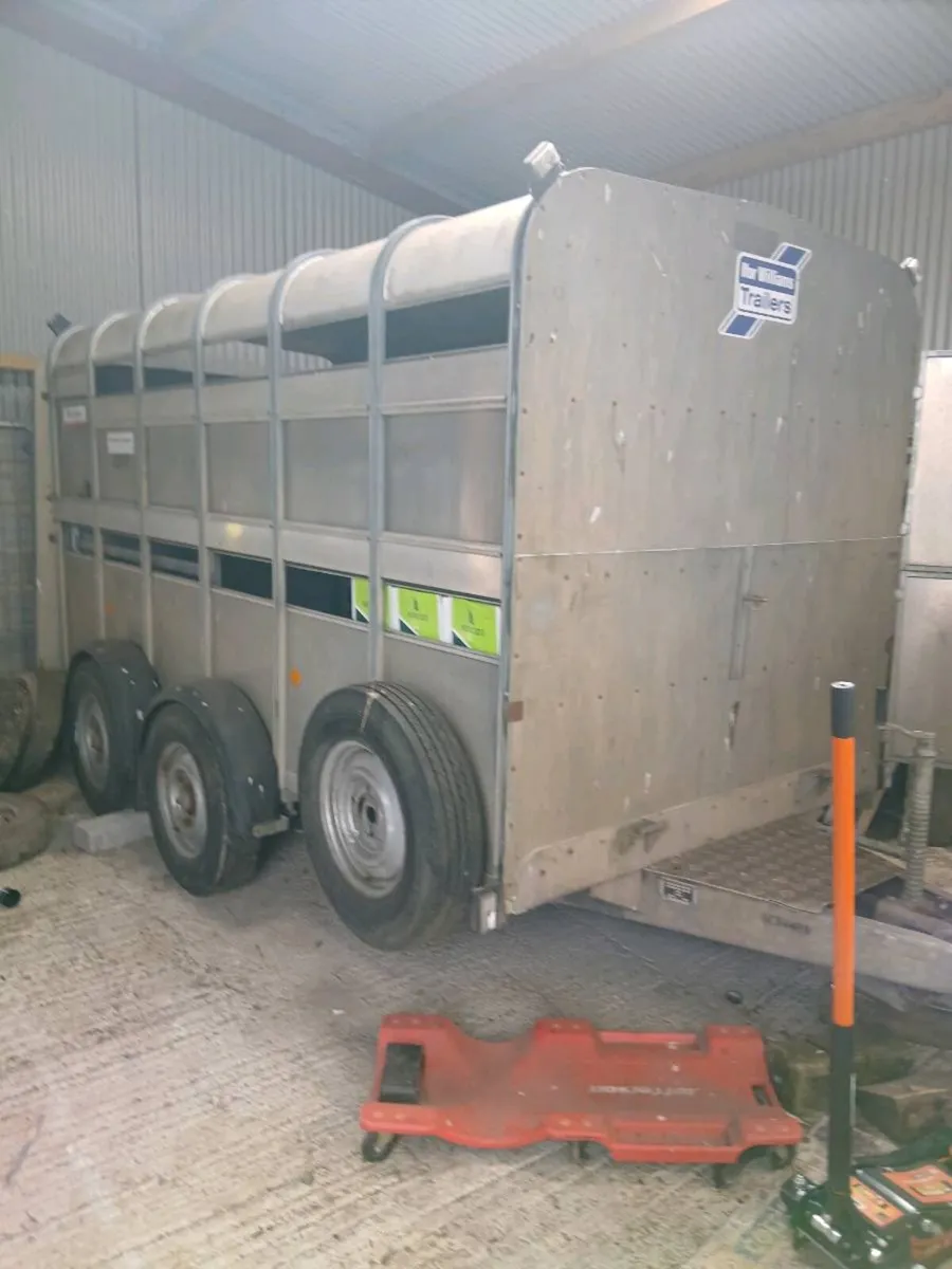 16Iforwilliams 12by6 cattle trailercall 0868782672 - Image 4