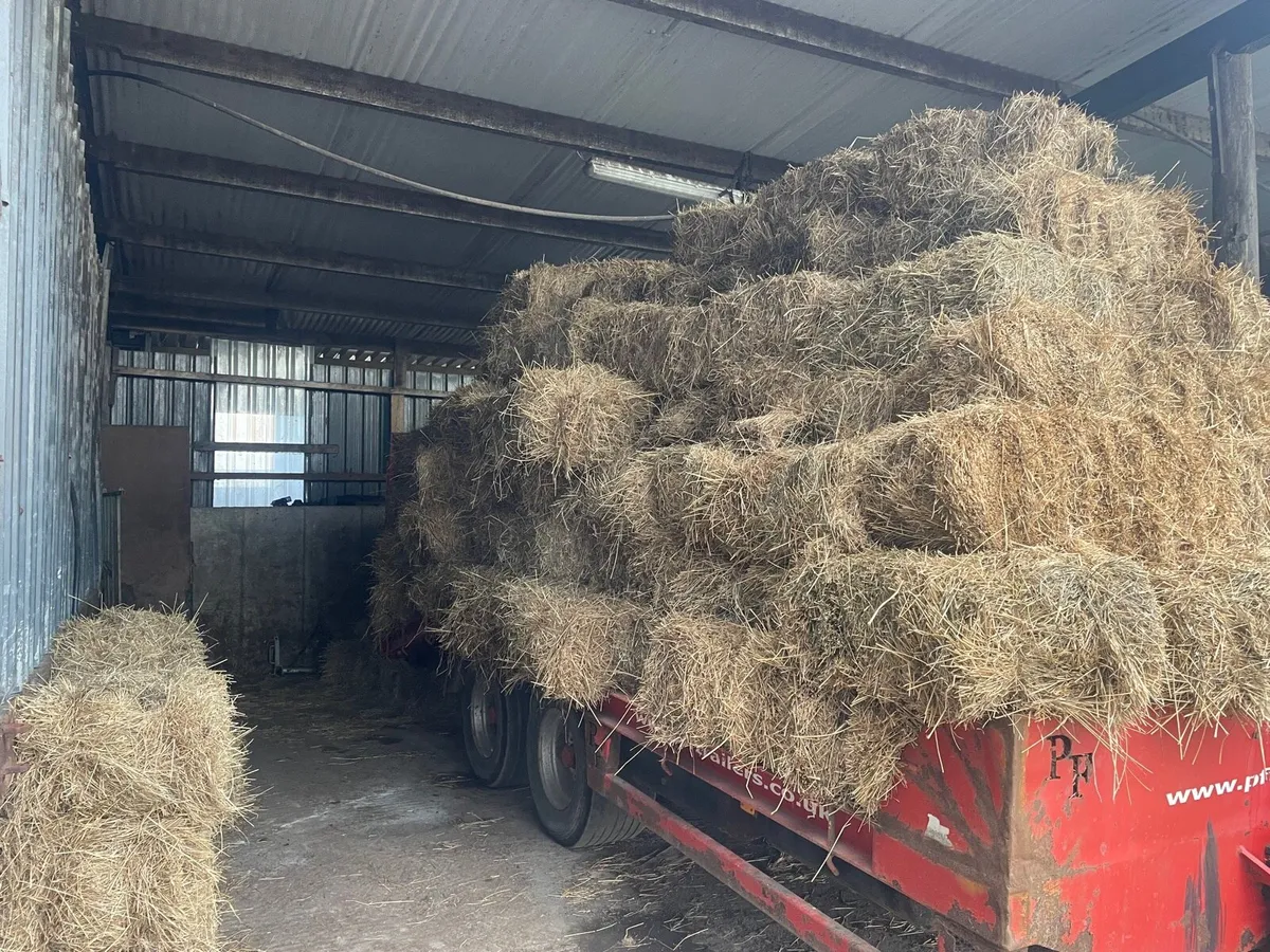 Hay