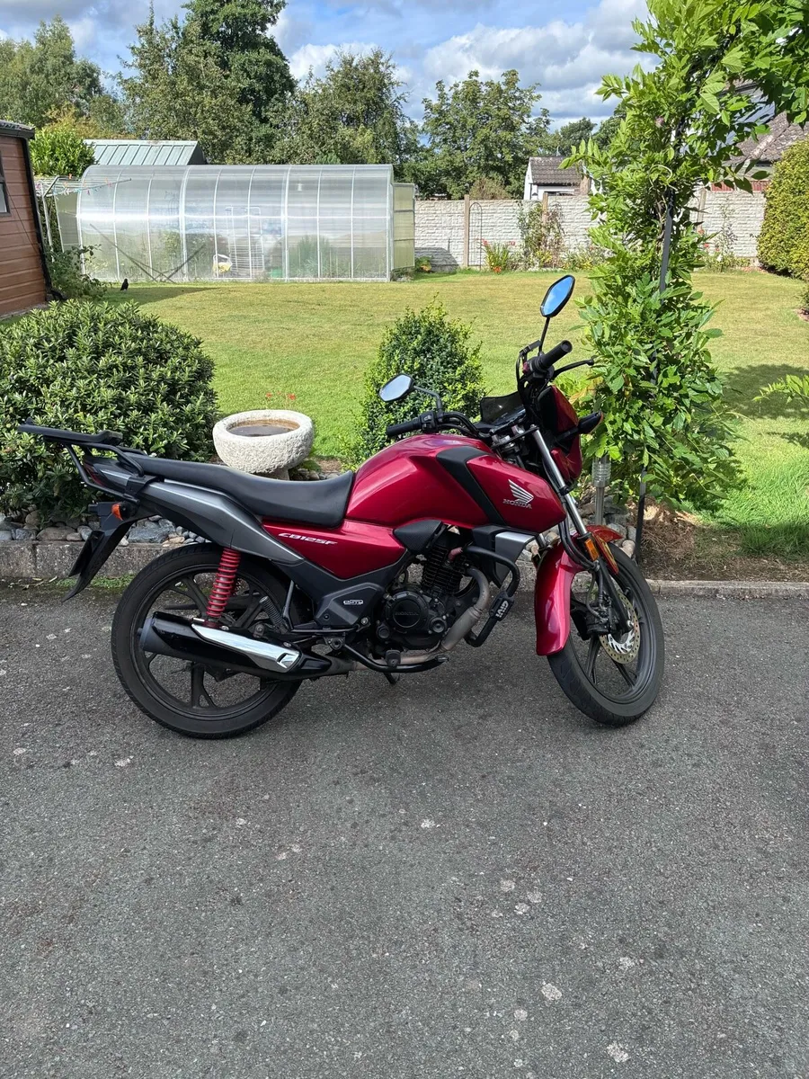 2023 CBF 125 €2450ono - Image 1