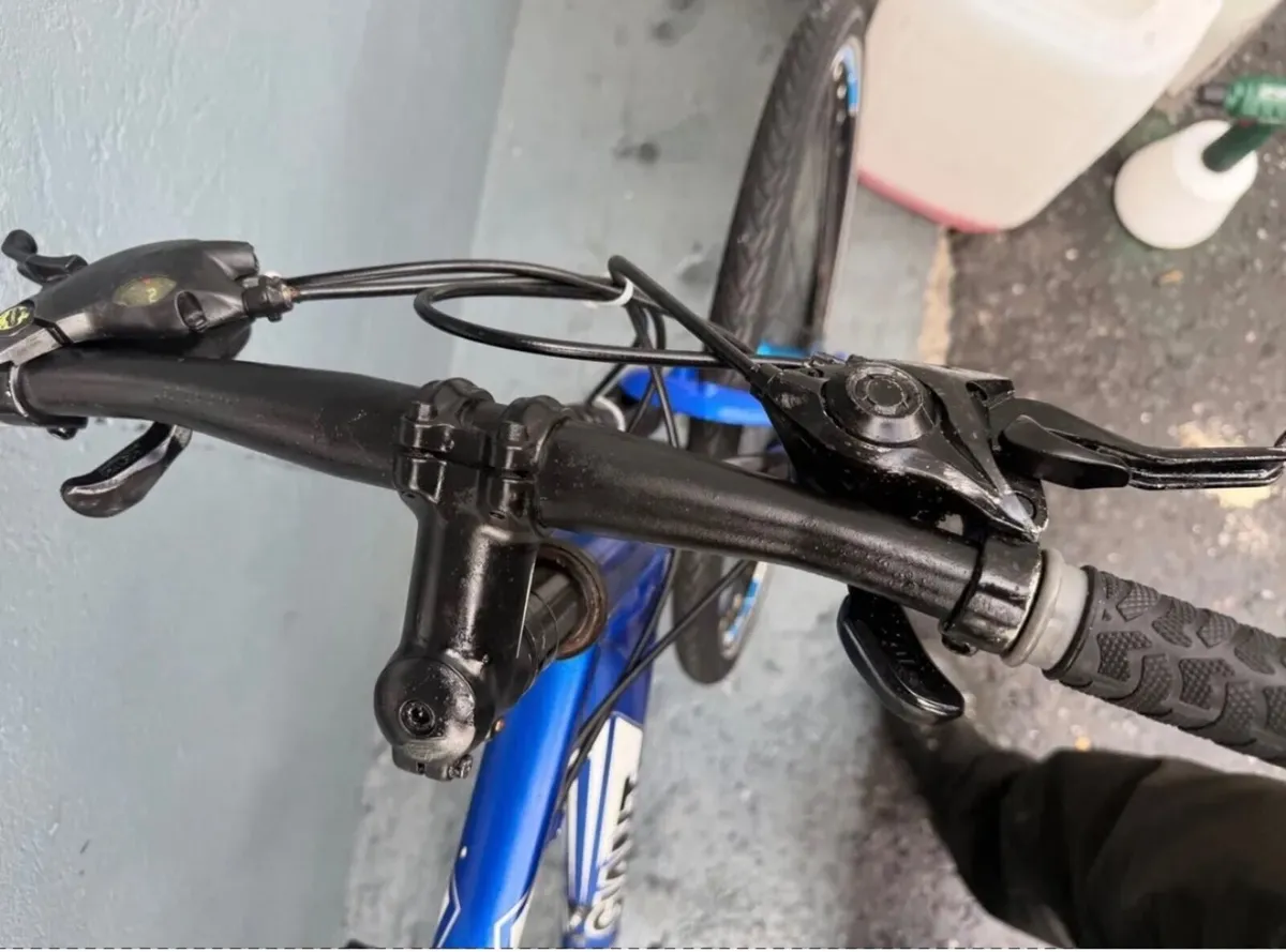Giant hybrid bike - Image 2