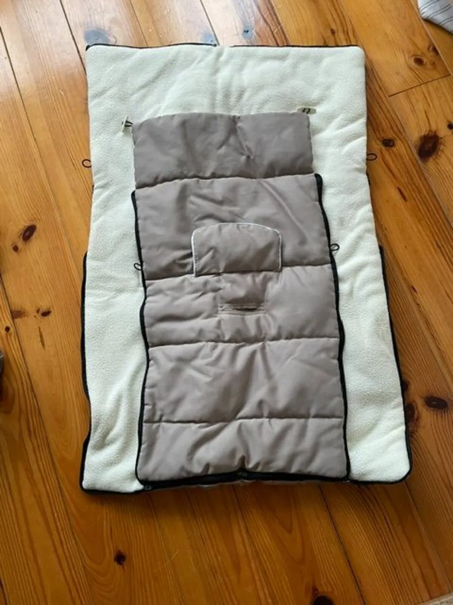 Buggy - Image 4