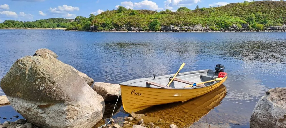 Trailer & Boat+engine - Image 1