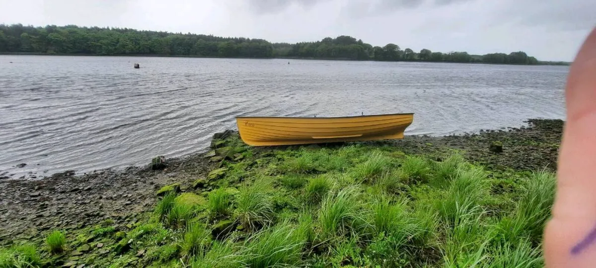 Trailer & Boat+engine - Image 3