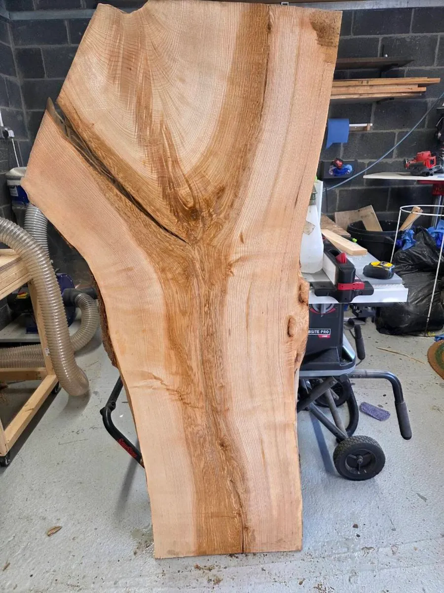 Live Edge Timber Slabs – Ash, Sycamore & Cherry - Image 2