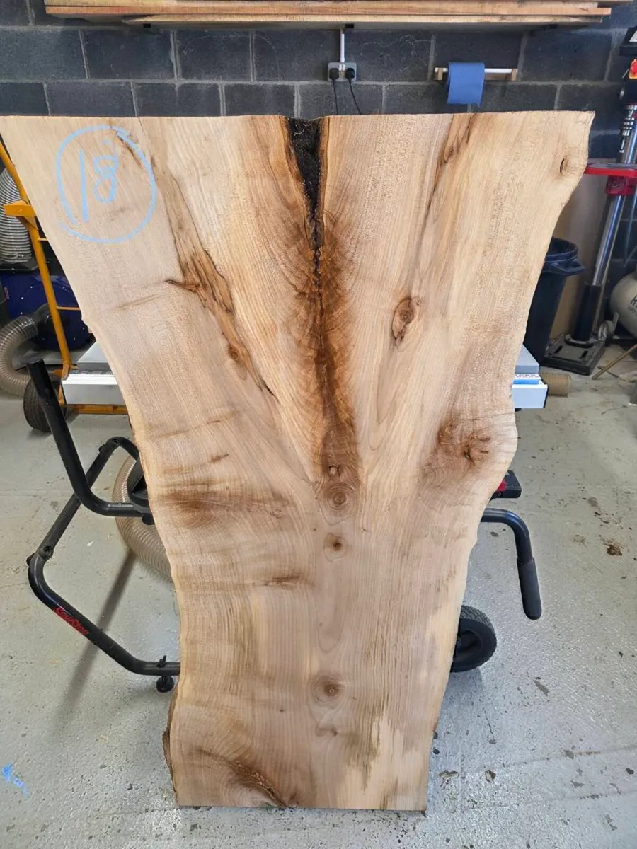 Live Edge Timber Slabs – Ash, Sycamore & Cherry - Image 3