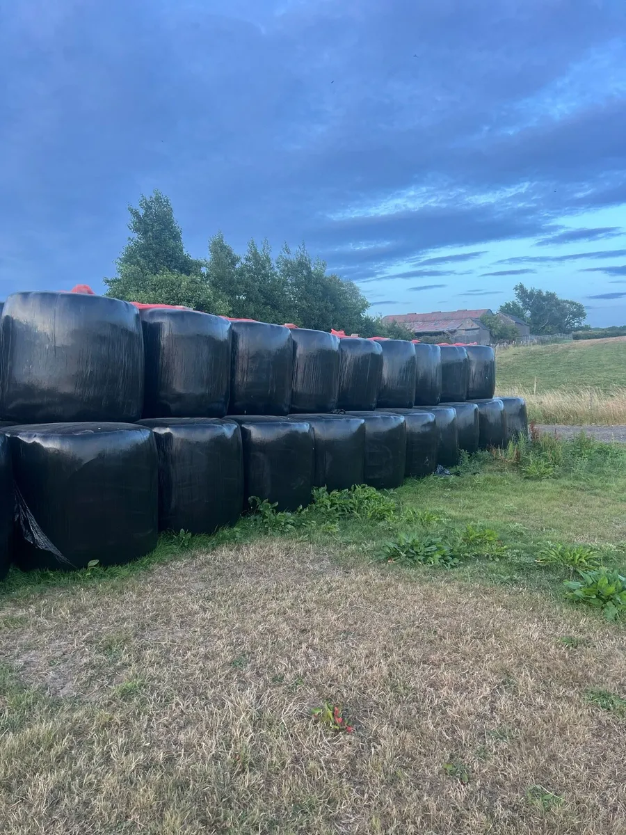 Haylage - Image 1