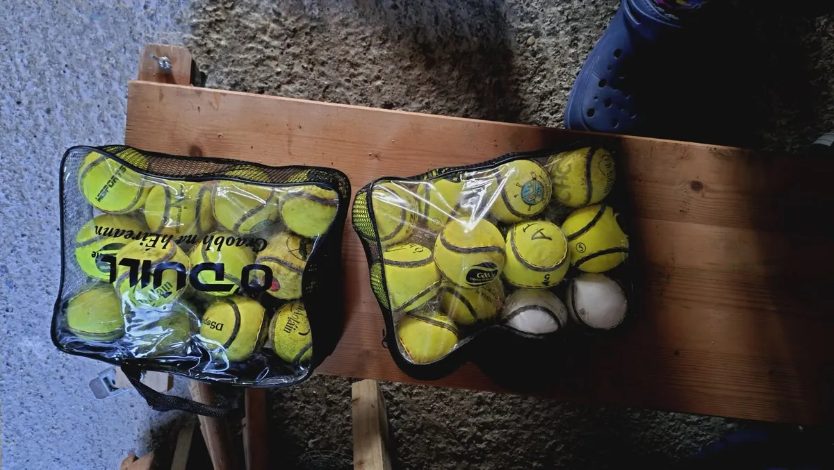sliotars