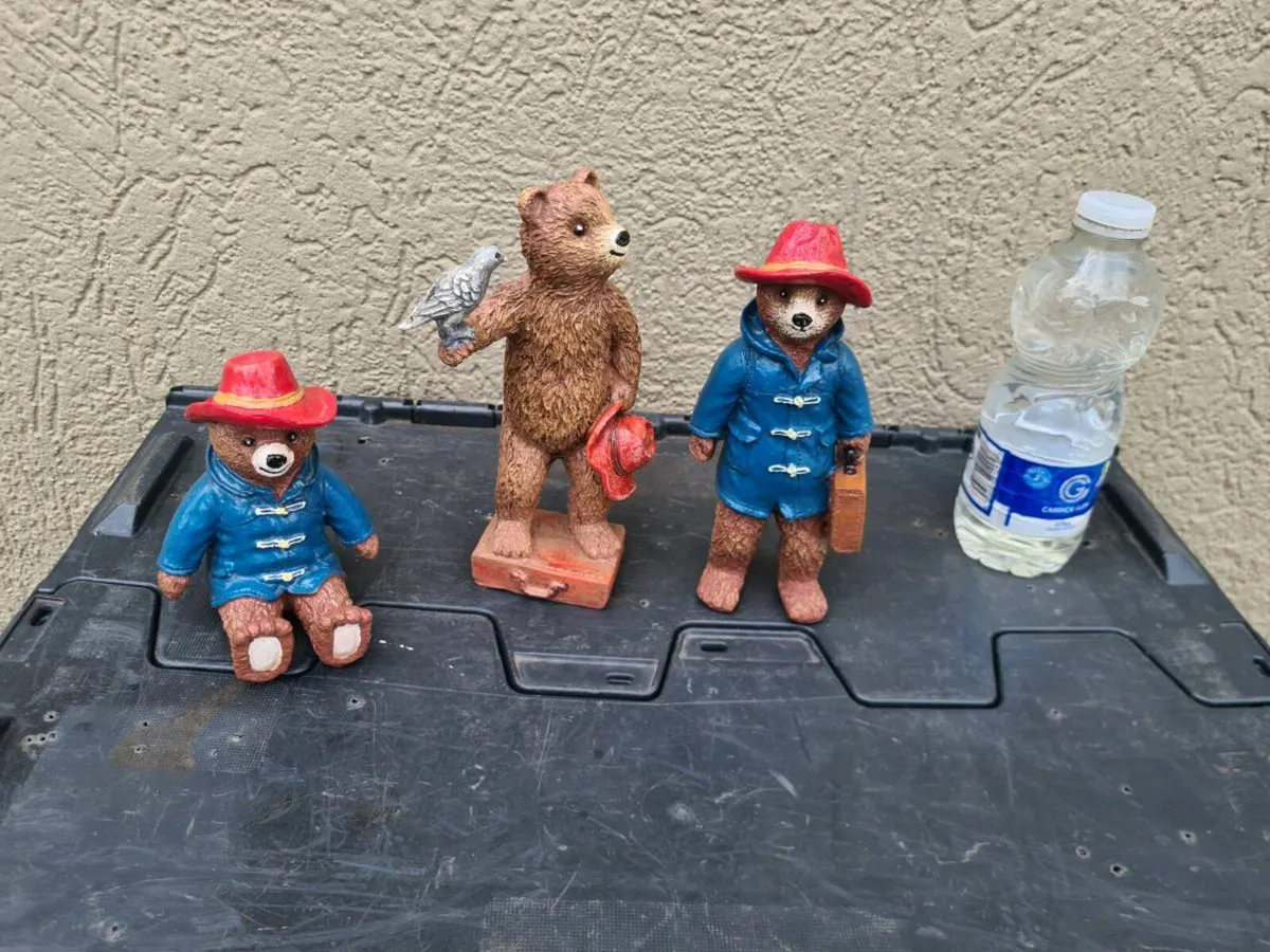 Paddington Beer