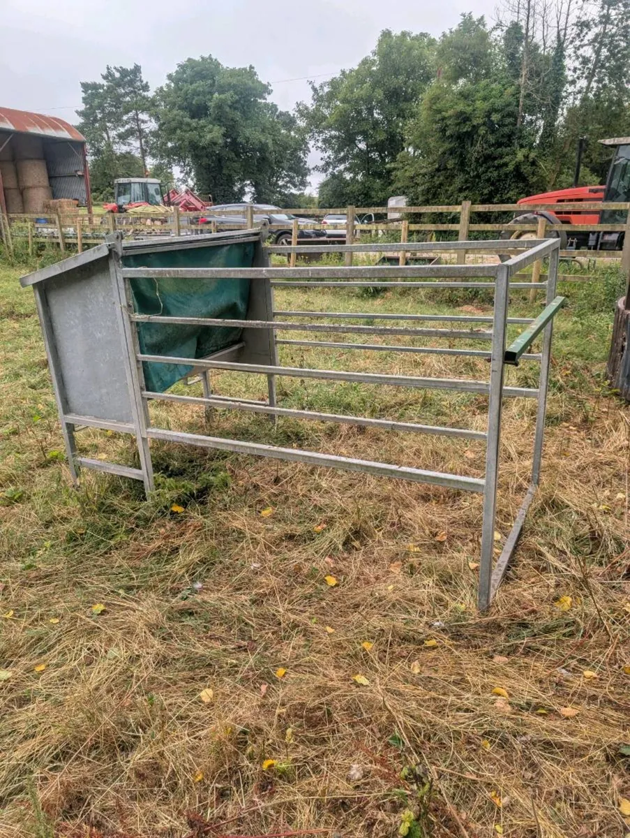 Calf Creep Feeder - Image 4