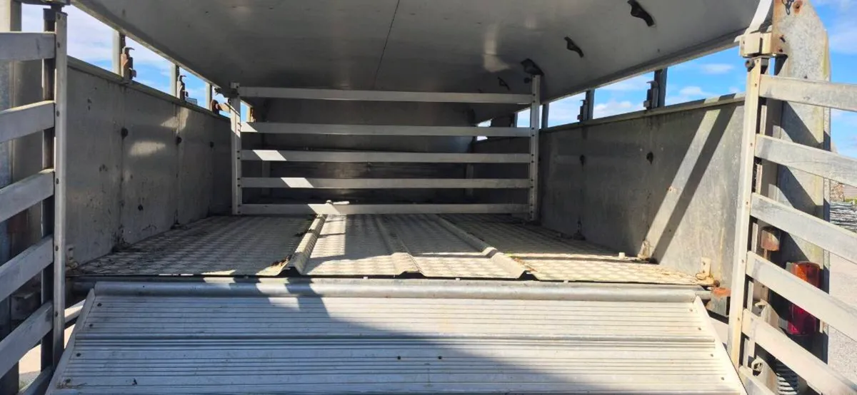 Ifor williams cattle trailer - Image 3